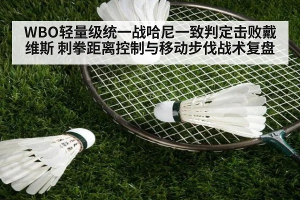 WBO轻量级统一战哈尼一致判定击败戴维斯 刺拳距离控制与移动步伐战术复盘 - jiuyou game